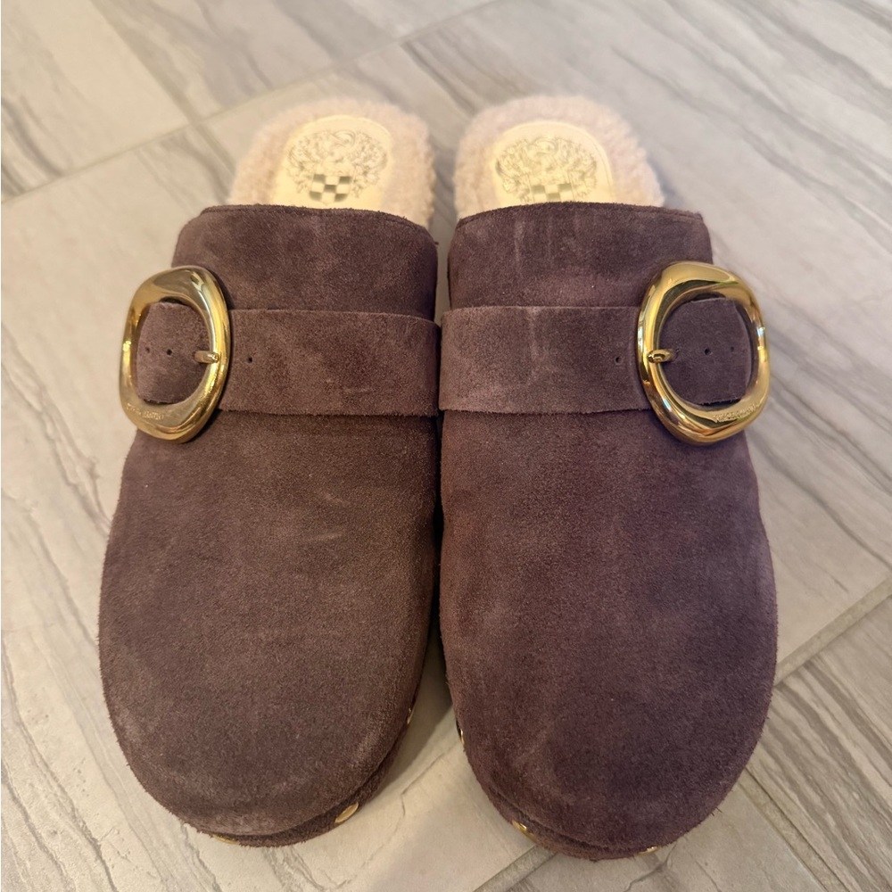 Dolce Vita Brown Mules with Gold Buckle